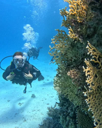 i-parallax-03-package-01 (1)